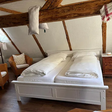 Apartment Anno 1886 - Knepp-haenel-haus