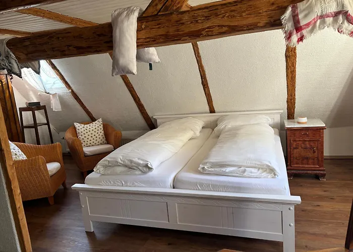 Apartman Anno 1886 - Knepp-haenel-haus